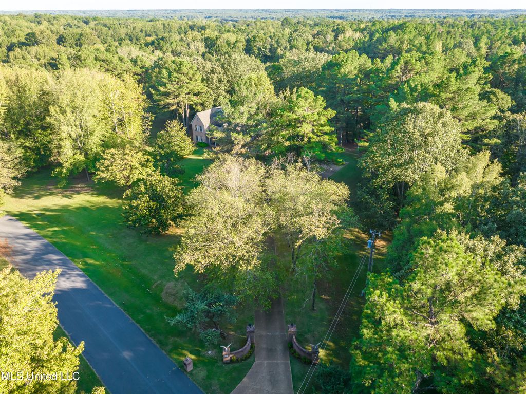 12965 Whispering Pines Drive, Olive Branch, MS 38654 — photo 4