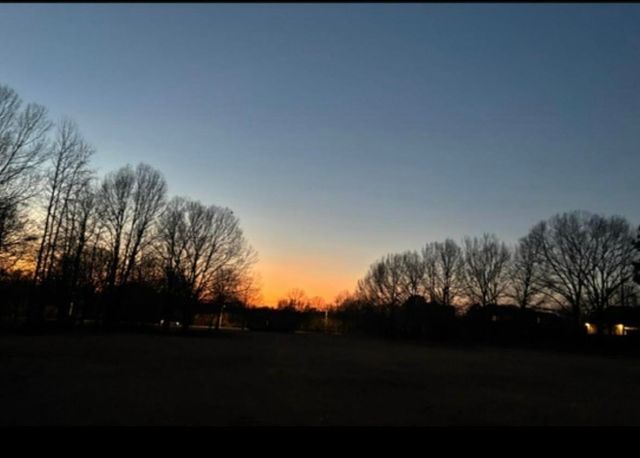 459 CHICKASAW LAND WAY, Collierville, TN 38017