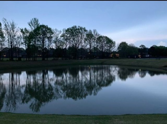 459 CHICKASAW LAND WAY, Collierville, TN 38017