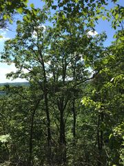 0 South Fork, Stanton, KY 40380