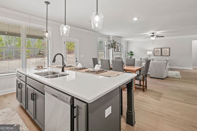 3296 Lions Ruby Lane, Atlanta, GA 30349