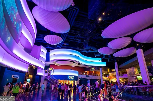 3296 Lions Ruby Lane, Atlanta, GA 30349