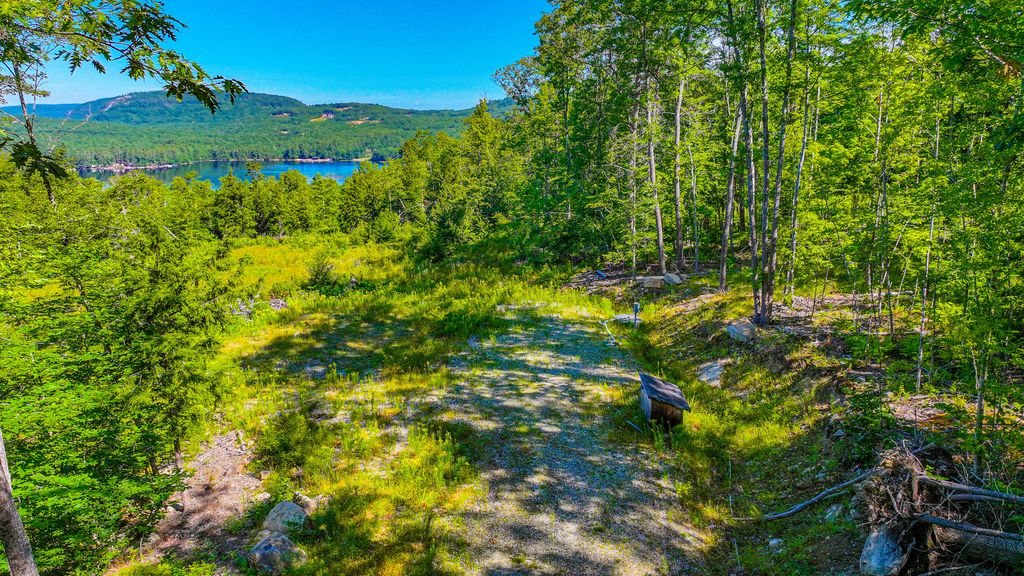 0 Old Whitney Road, Harrison, ME 04040 — photo 3