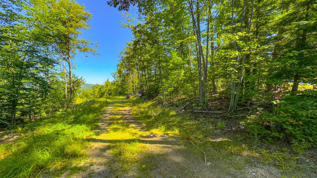 0 Old Whitney Road, Harrison, ME 04040 — photo 4