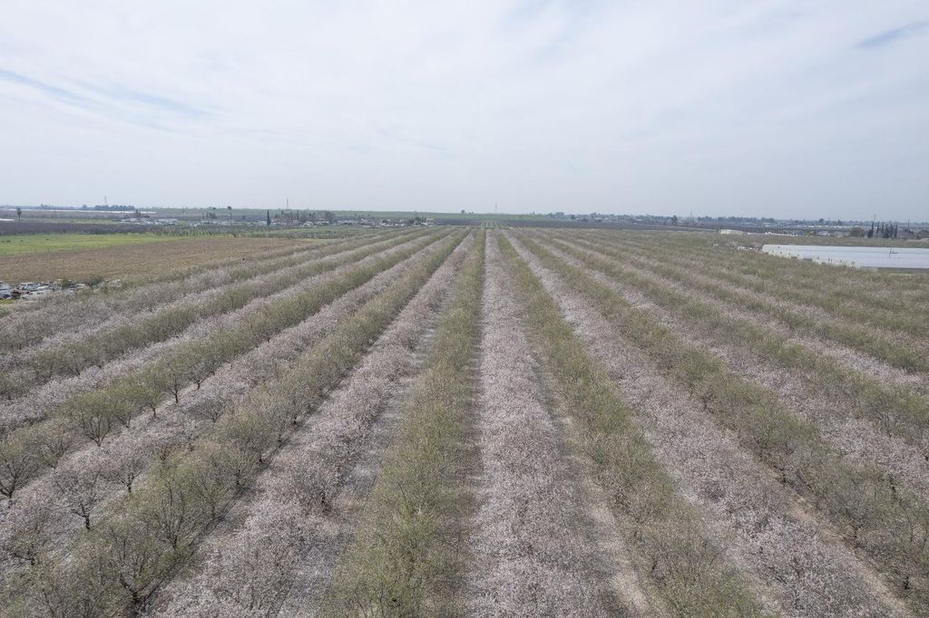 Image 11 of property listing at 0 Apn 328-050-37, Fresno, CA 93706