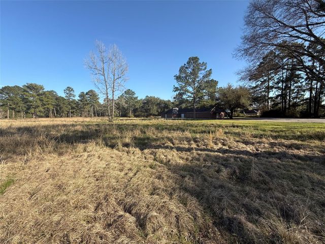 TBD Fm 3126, Livingston, TX 77351