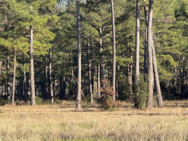 TBD Fm 3126, Livingston, TX 77351