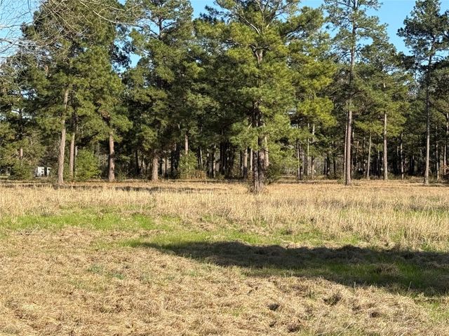 TBD Fm 3126, Livingston, TX 77351
