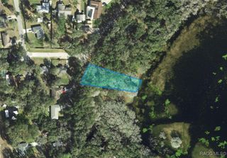 3352 E Lake Nina Drive, Inverness, FL 34453
