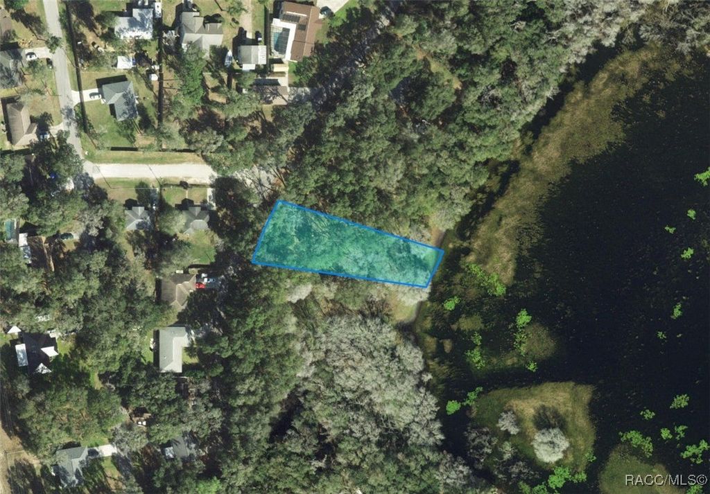 3352 E Lake Nina Drive, Inverness, FL 34453