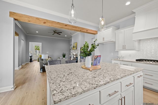 21433 Bluefin Dr, Springfield, LA 70462