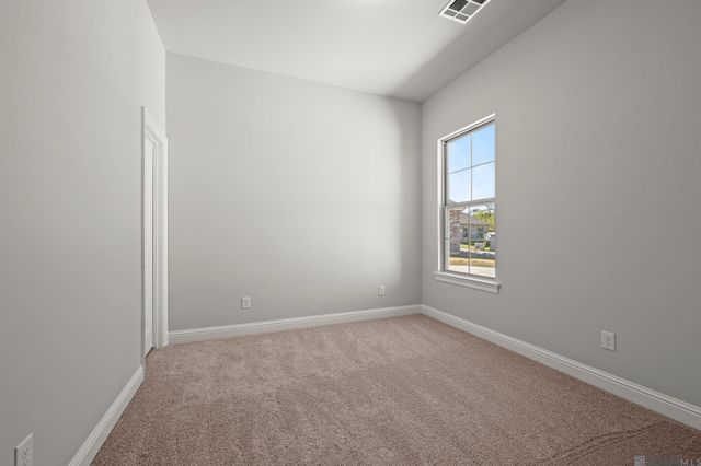 21433 Bluefin Dr, Springfield, LA 70462