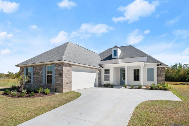 21433 Bluefin Dr, Springfield, LA 70462