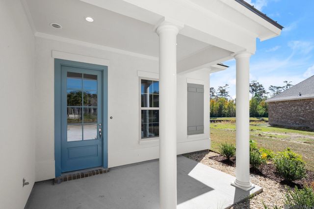 21433 Bluefin Dr, Springfield, LA 70462