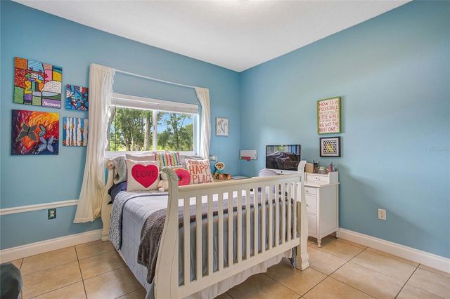 19616 LIVINGSTON AVENUE, Lutz, FL 33559