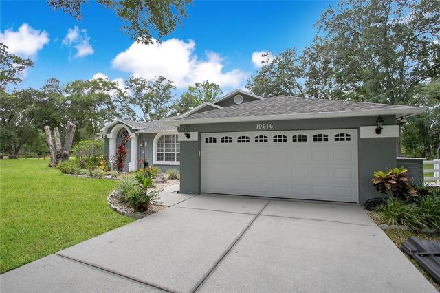 19616 LIVINGSTON AVENUE, Lutz, FL 33559