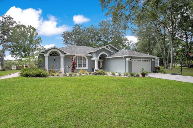 19616 LIVINGSTON AVENUE, Lutz, FL 33559