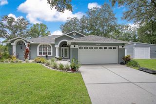 19616 LIVINGSTON AVENUE, Lutz, FL 33559