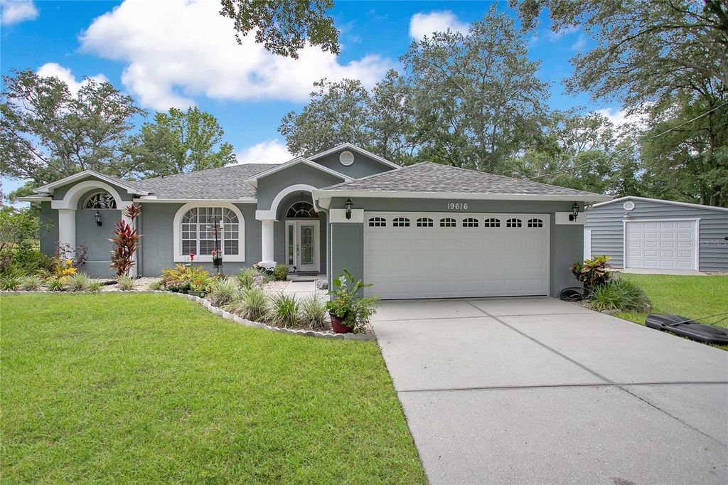 19616 LIVINGSTON AVENUE, Lutz, FL 33559
