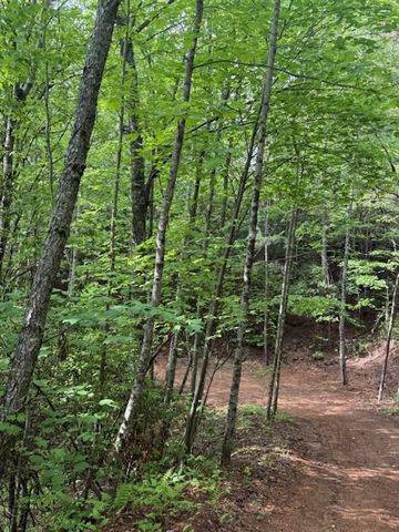 00 Tyler Lane, Marble, NC 28905