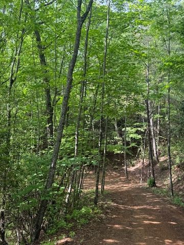00 Tyler Lane, Marble, NC 28905