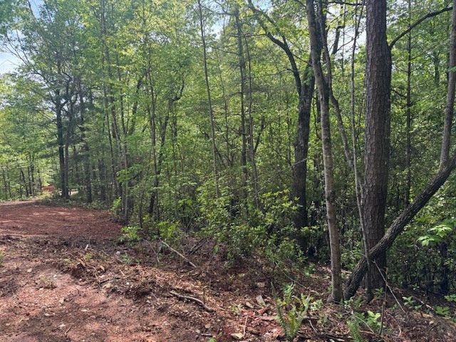 00 Tyler Lane, Marble, NC 28905