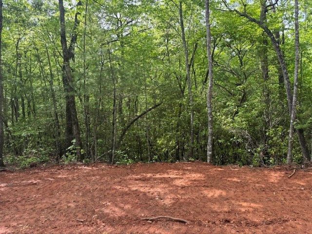 00 Tyler Lane, Marble, NC 28905