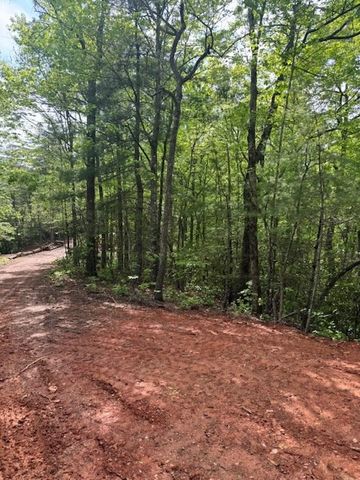 00 Tyler Lane, Marble, NC 28905