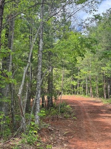 00 Tyler Lane, Marble, NC 28905