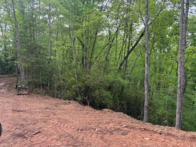 00 Tyler Lane, Marble, NC 28905