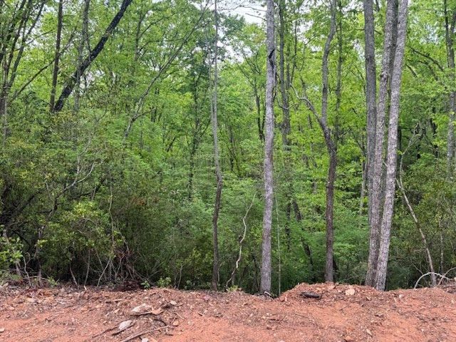 00 Tyler Lane, Marble, NC 28905