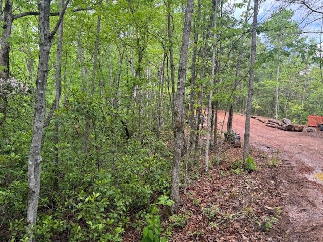 00 Tyler Lane, Marble, NC 28905