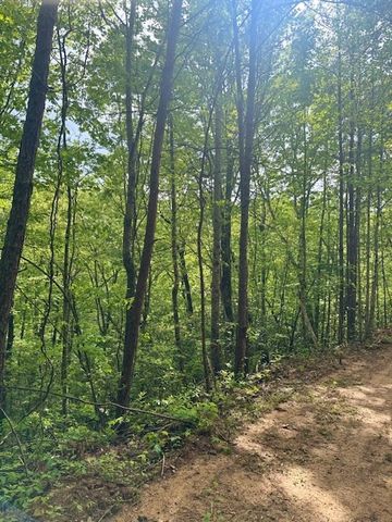 00 Tyler Lane, Marble, NC 28905