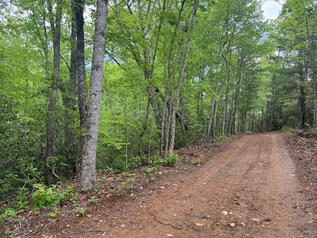 00 Tyler Lane, Marble, NC 28905