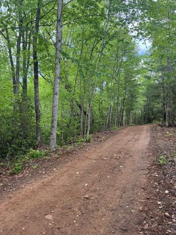 00 Tyler Lane, Marble, NC 28905