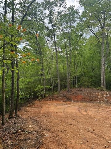 00 Tyler Lane, Marble, NC 28905