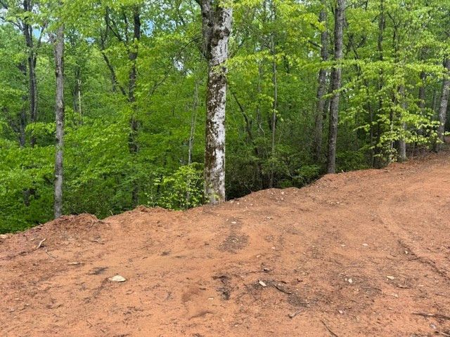 00 Tyler Lane, Marble, NC 28905