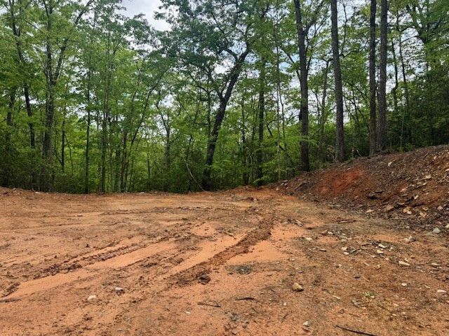 00 Tyler Lane, Marble, NC 28905