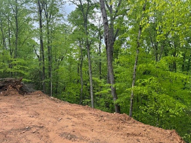 00 Tyler Lane, Marble, NC 28905