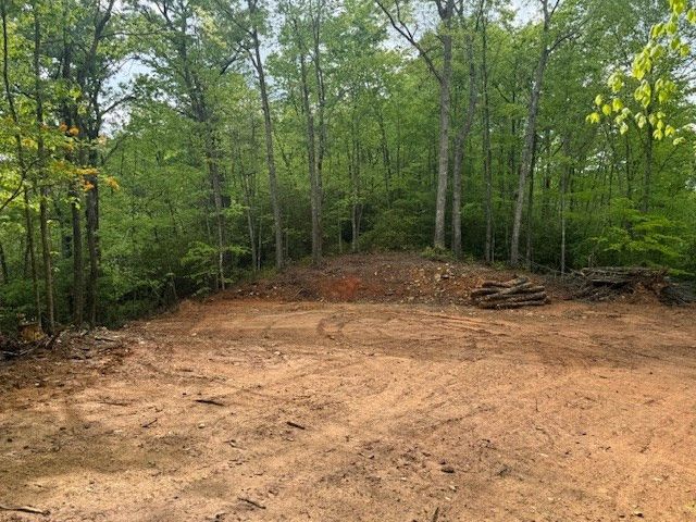 00 Tyler Lane, Marble, NC 28905
