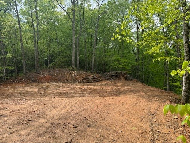 00 Tyler Lane, Marble, NC 28905