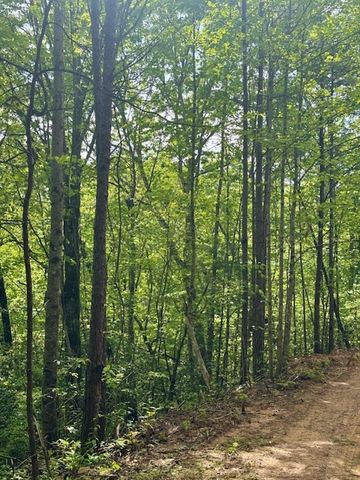 00 Tyler Lane, Marble, NC 28905