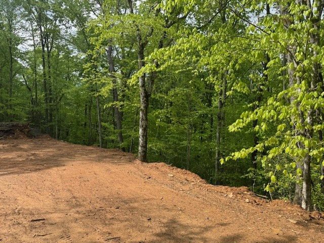 00 Tyler Lane, Marble, NC 28905