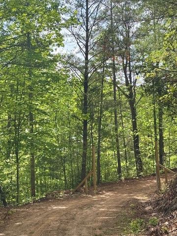 00 Tyler Lane, Marble, NC 28905