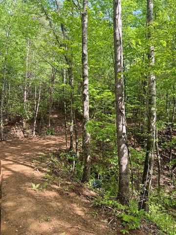 00 Tyler Lane, Marble, NC 28905