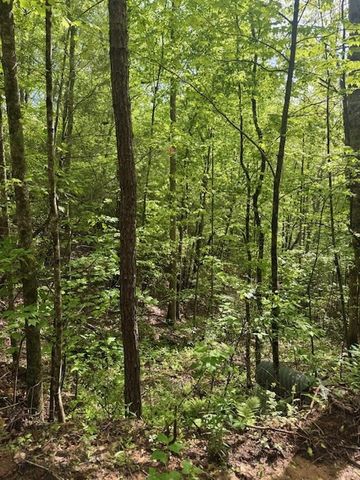 00 Tyler Lane, Marble, NC 28905
