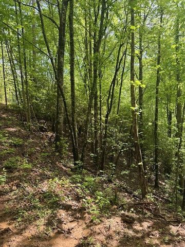 00 Tyler Lane, Marble, NC 28905