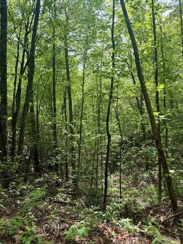 00 Tyler Lane, Marble, NC 28905