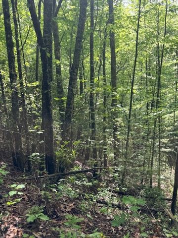 00 Tyler Lane, Marble, NC 28905