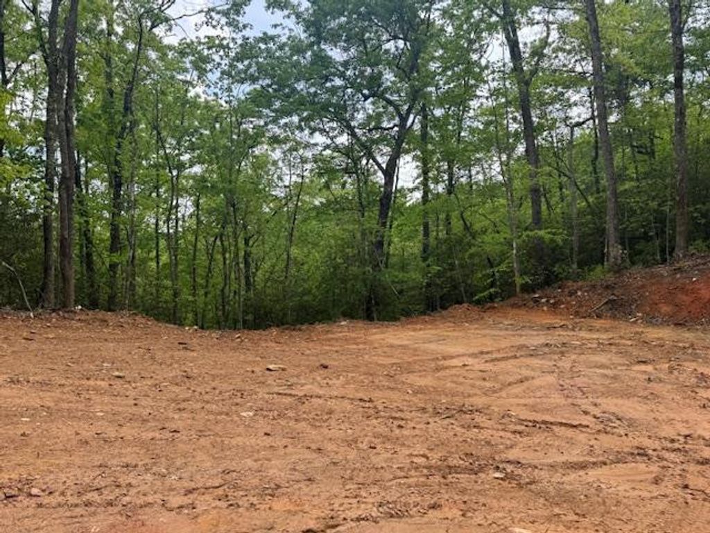 00 Tyler Lane, Marble, NC 28905